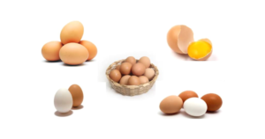 আজকের ডিমের দাম কত