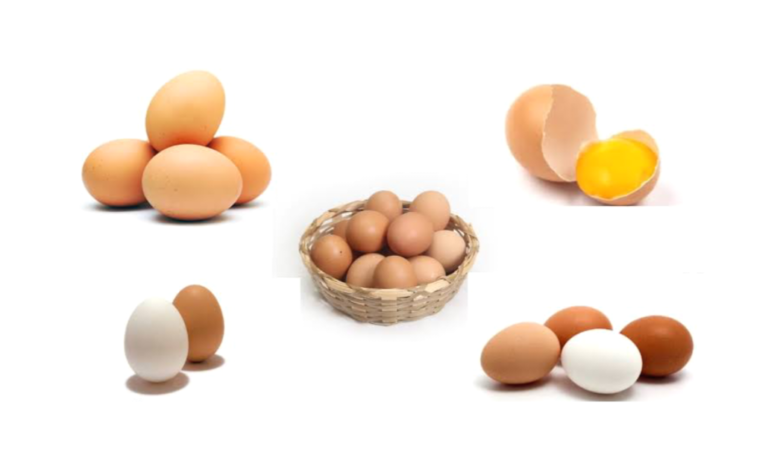 আজকের ডিমের দাম কত