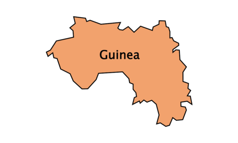 গিনি বেতন কত | গিনি ভিসার দাম কত