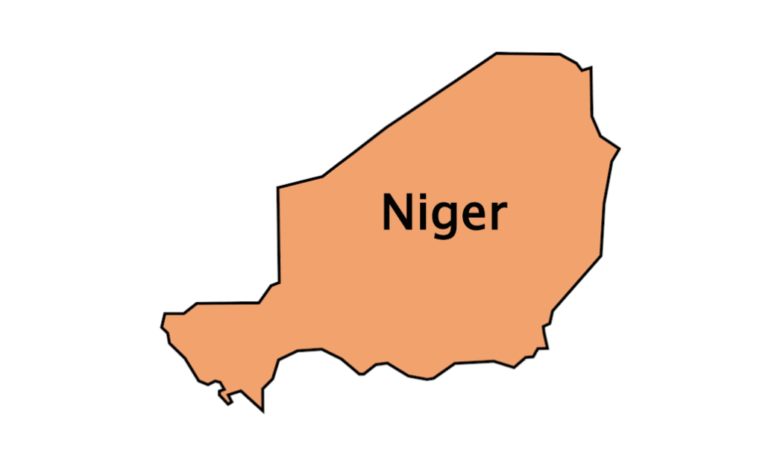 নাইজার বেতন কত | নাইজার ভিসার দাম কত