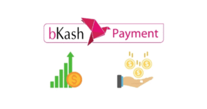অনলাইন আয় বিডি পেমেন্ট বিকাশ